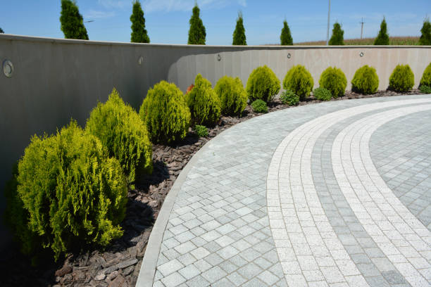 Best Custom Driveway Pavers  in Raymond, MS
